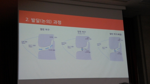 하구복원 모형