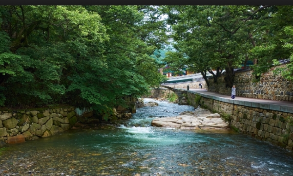 부처의 길, 상념의 길 돌다리