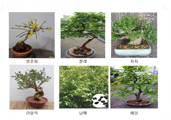 홍보관 입점 12개수종