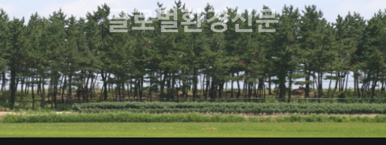 방풍림