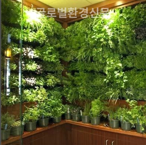 산소로 쾌적한 거실