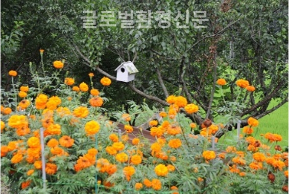 꽃밭속의 정자는 만능공간