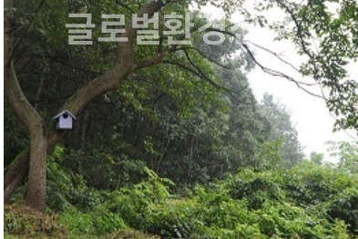 새가 떠난 빈집