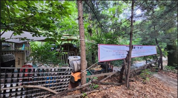 산림청, 국유지 사용 엄중조치 현수막